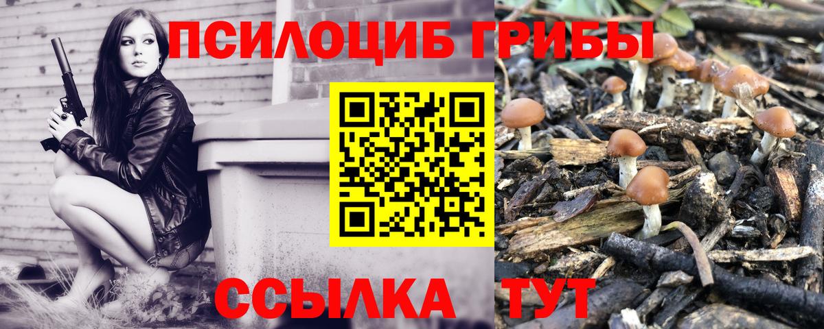 Галлюциногенные грибы прущие грибы Красноуфимск